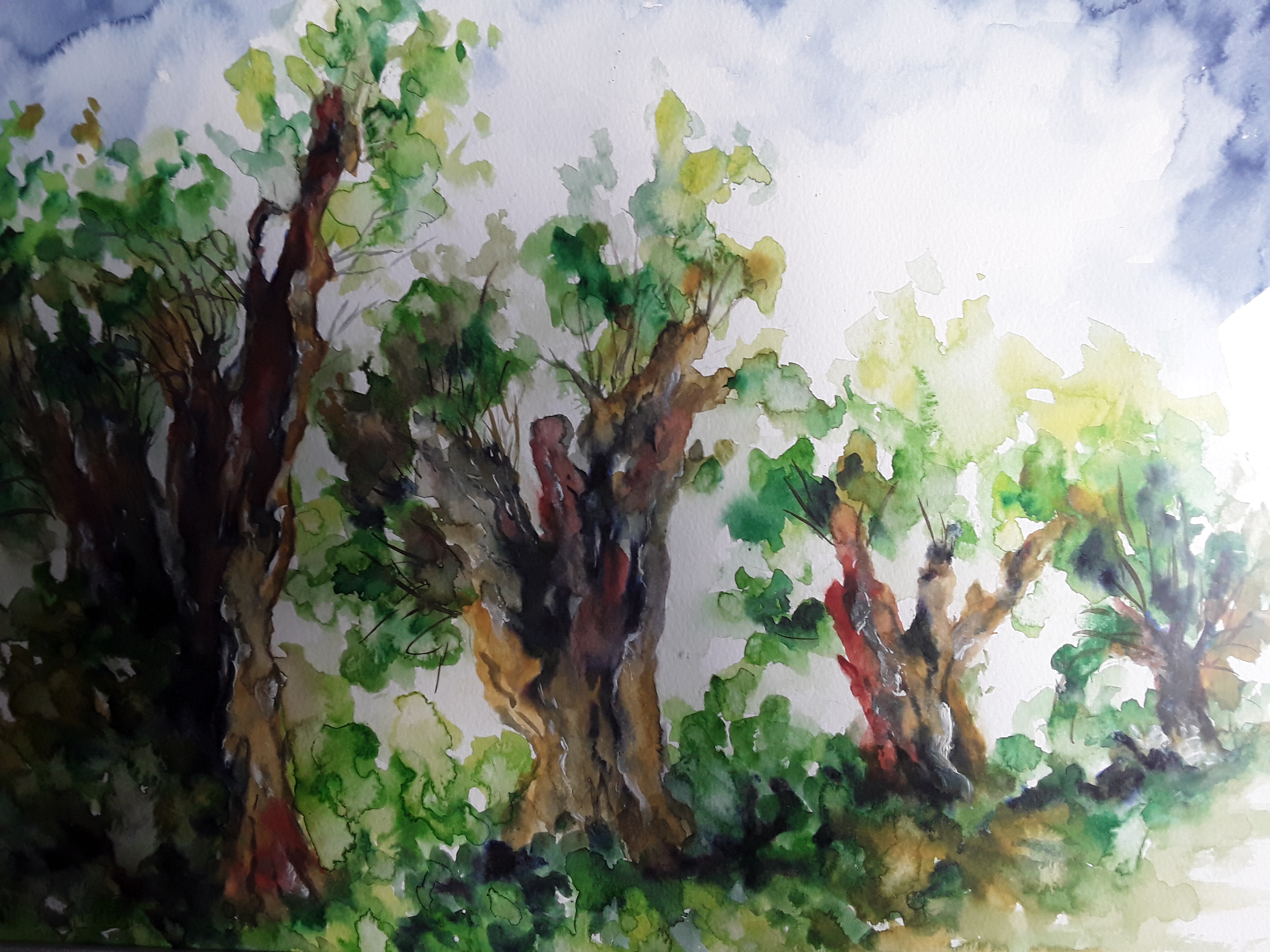 Aquarell Weidenweg.jpg